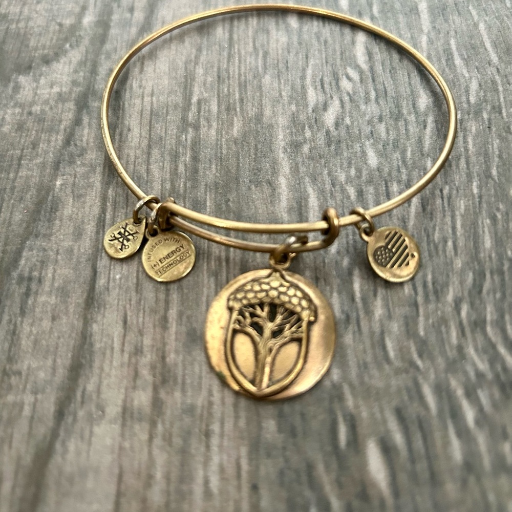 Alex and Ani Tree of Life bracelet